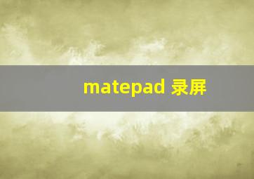 matepad 录屏